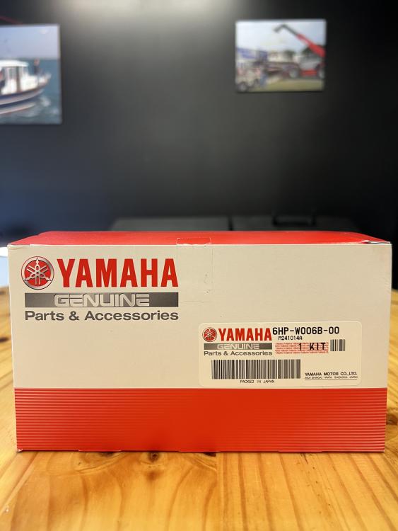 kit entretien 100 heures moteur F150 à F225